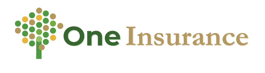 One Insurance